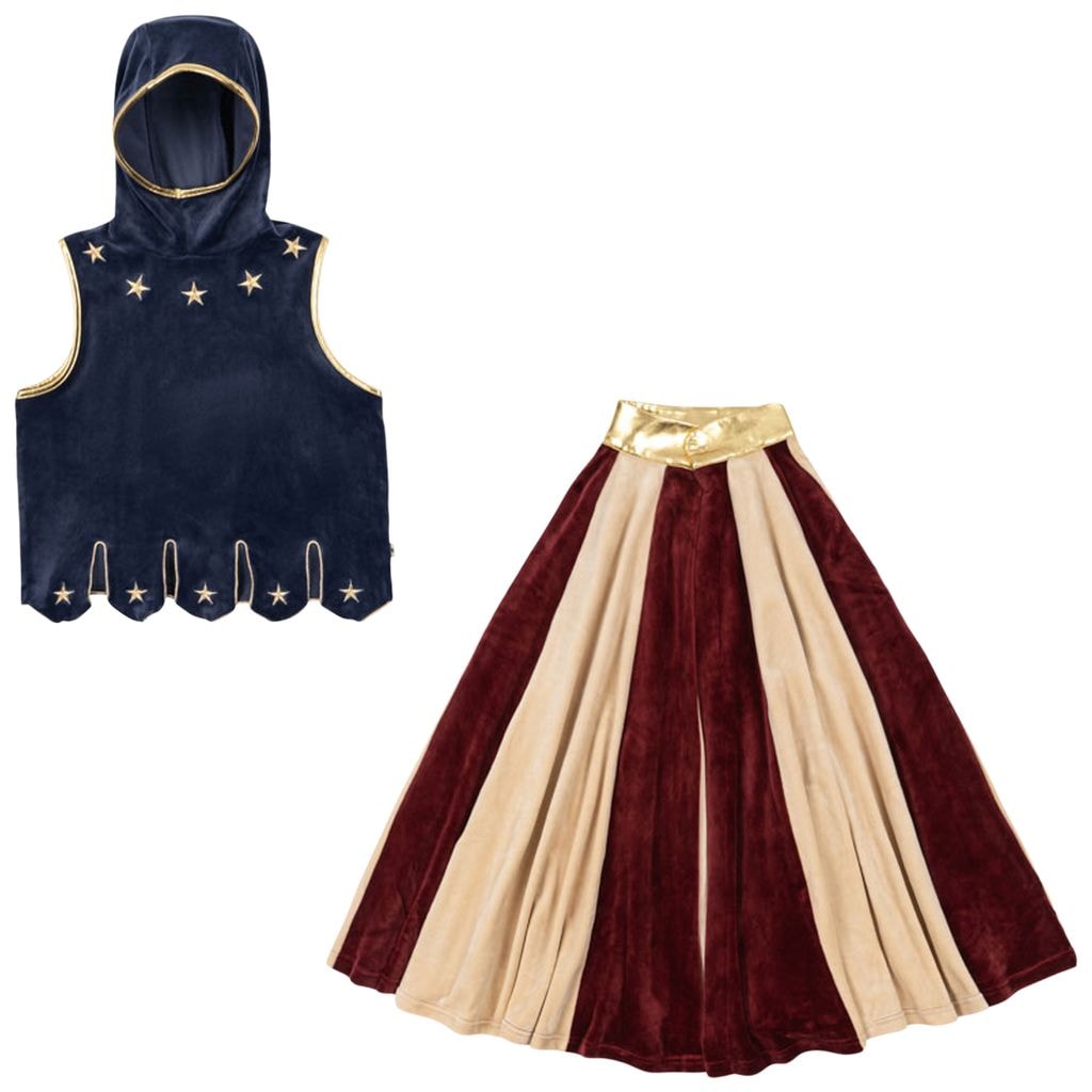 Knight Costume Dress Blue