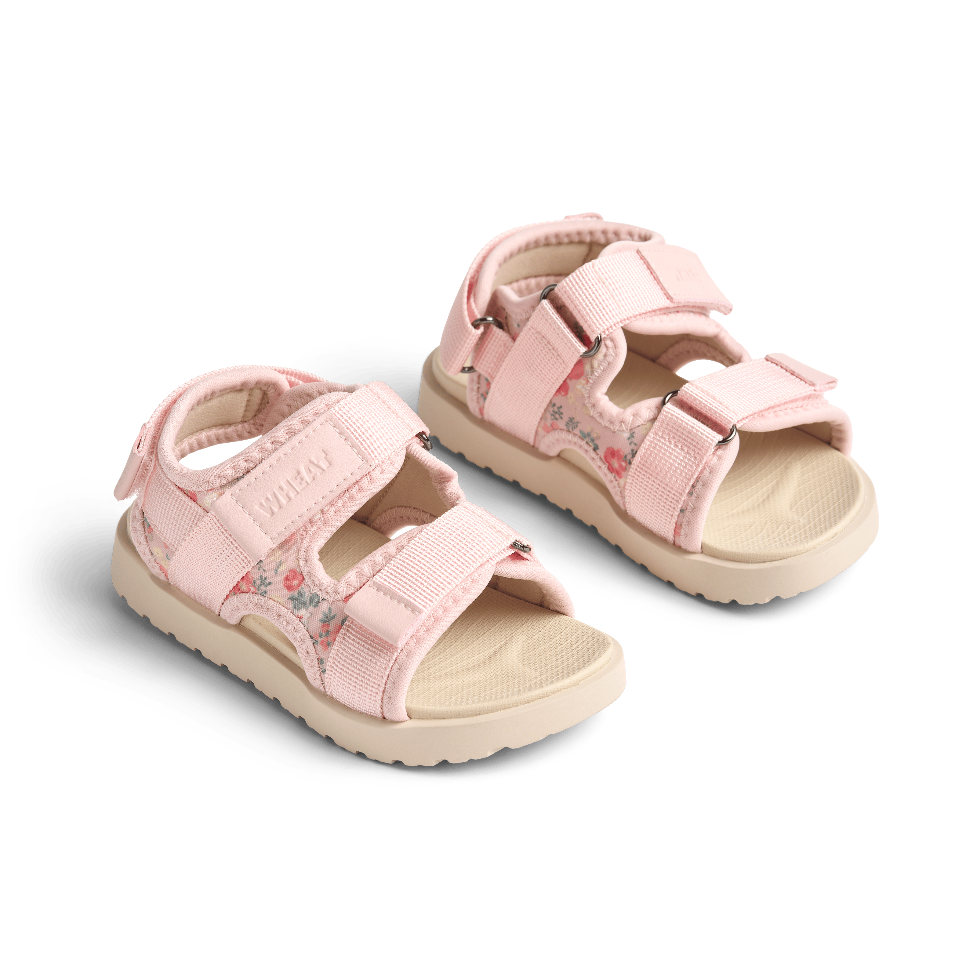 Mandy Sandaler Powder Flowers And Seashells 