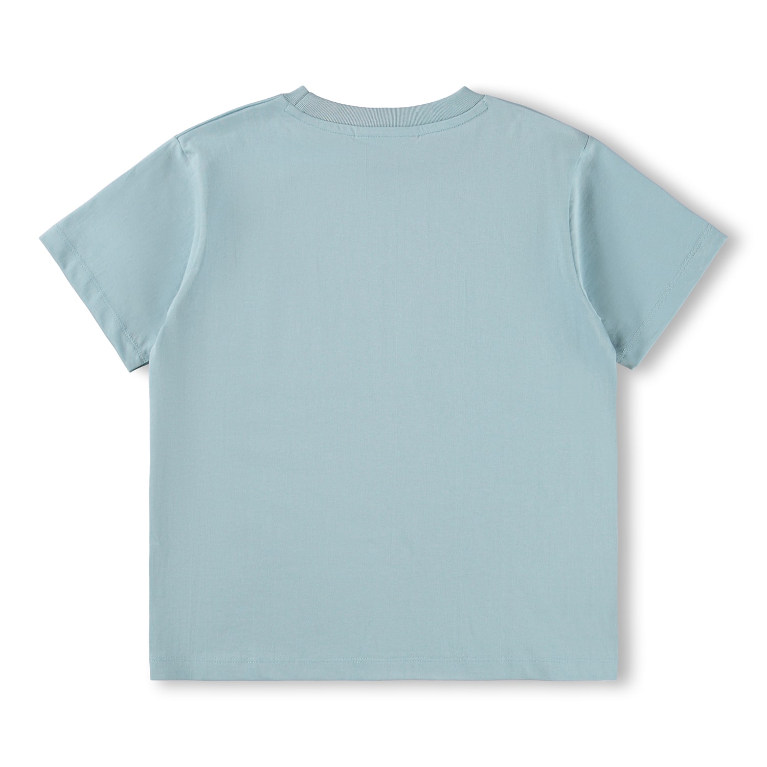 GOTS Riley T-shirt Bluish Surfer
