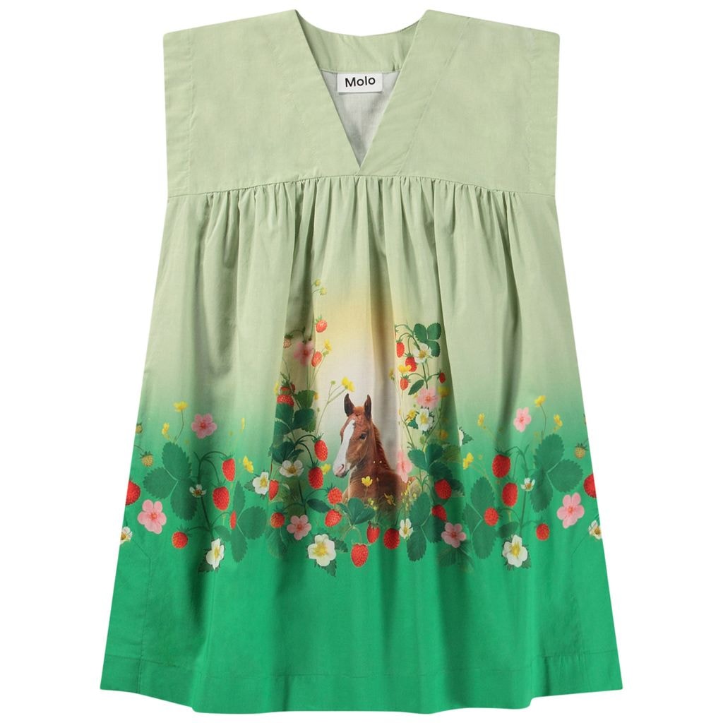 Cajla Dress Beauty