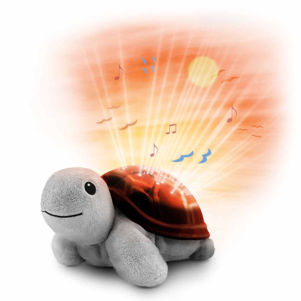 Tim the Turtle Projector