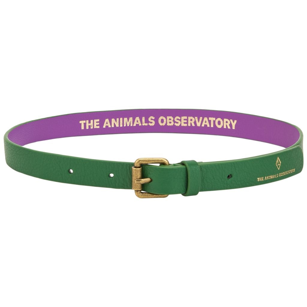 Ibis Belt Green