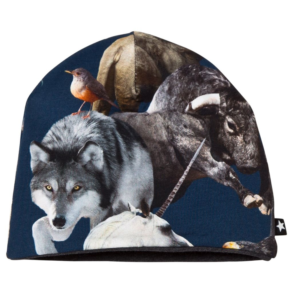 Ned Lue National Animals