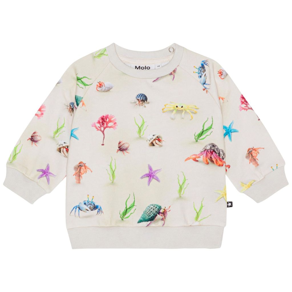 GOTS Disc Sweatshirt Hermit Crab