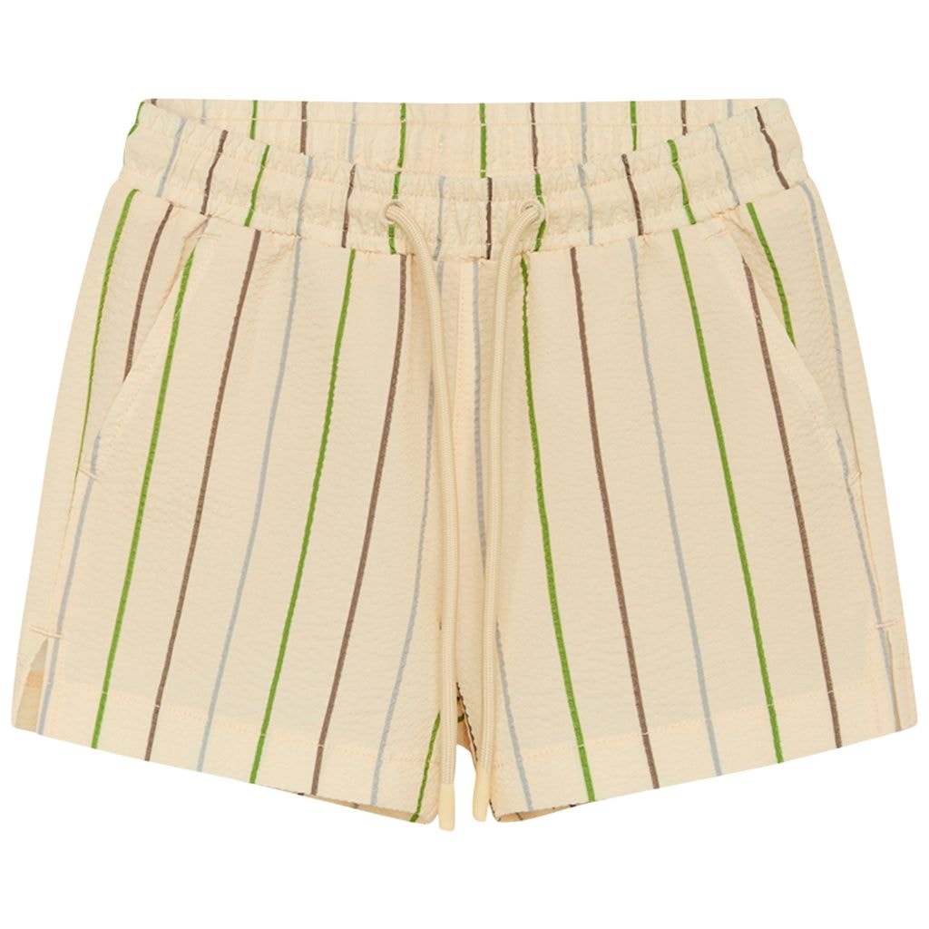 Bertil Swim Shorts Multi stripe