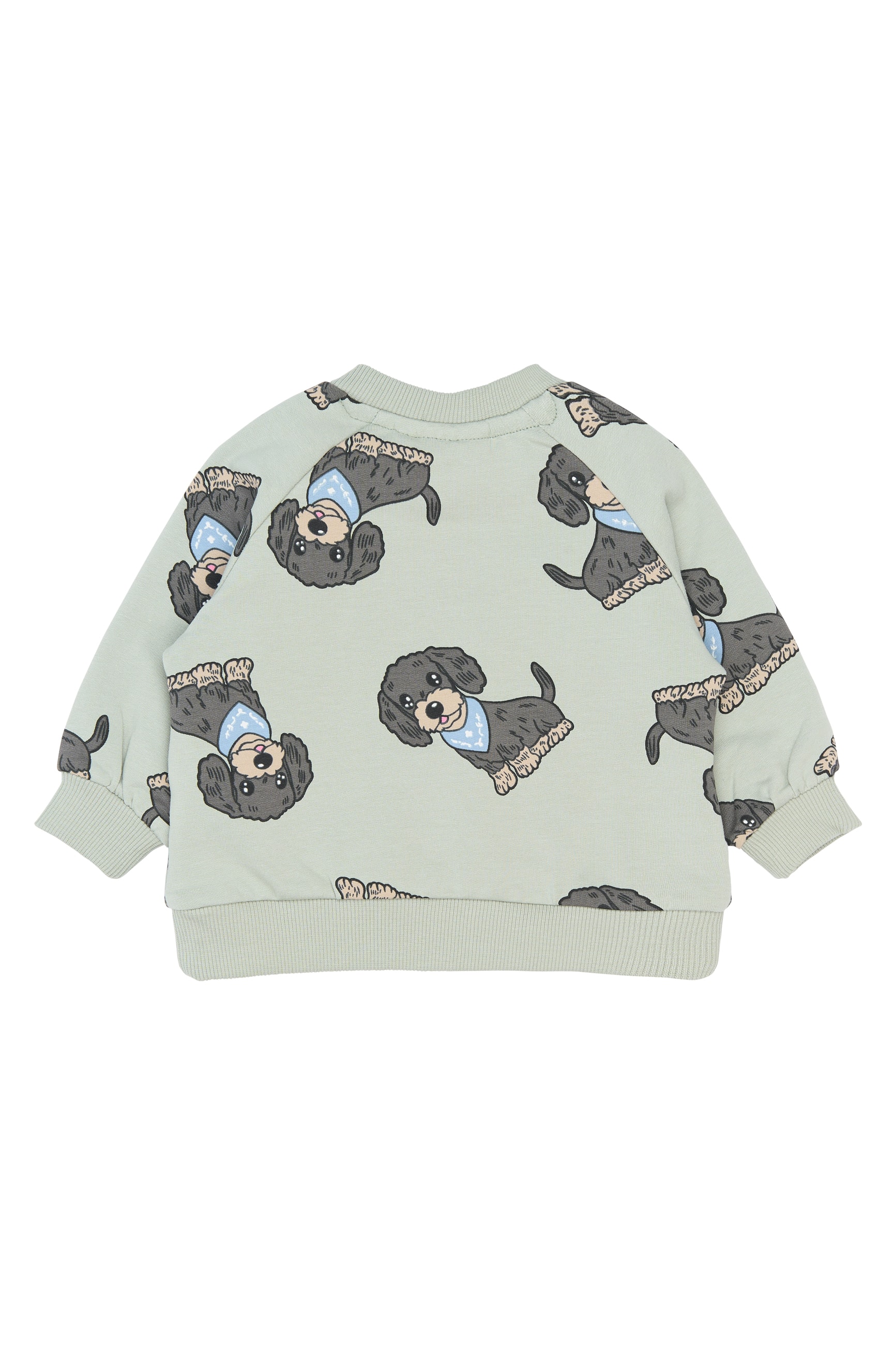 Sofus Sweatshirt Aqua Gray