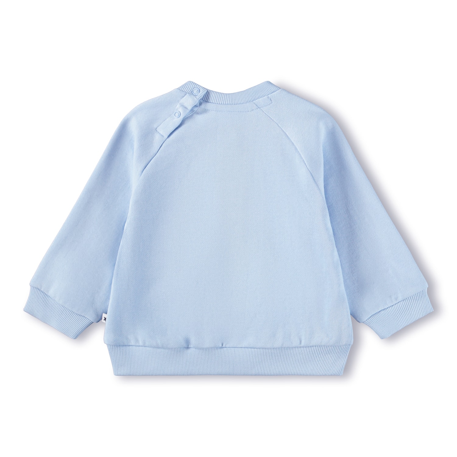GOTS Disc Sweatshirt Meadow Kitten