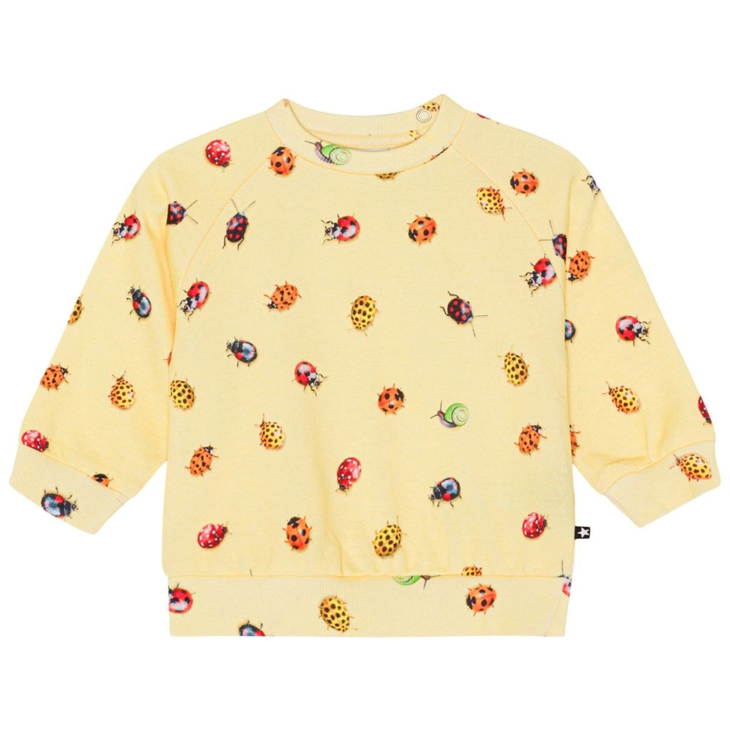 GOTS Disc Sweatshirt Coccinella