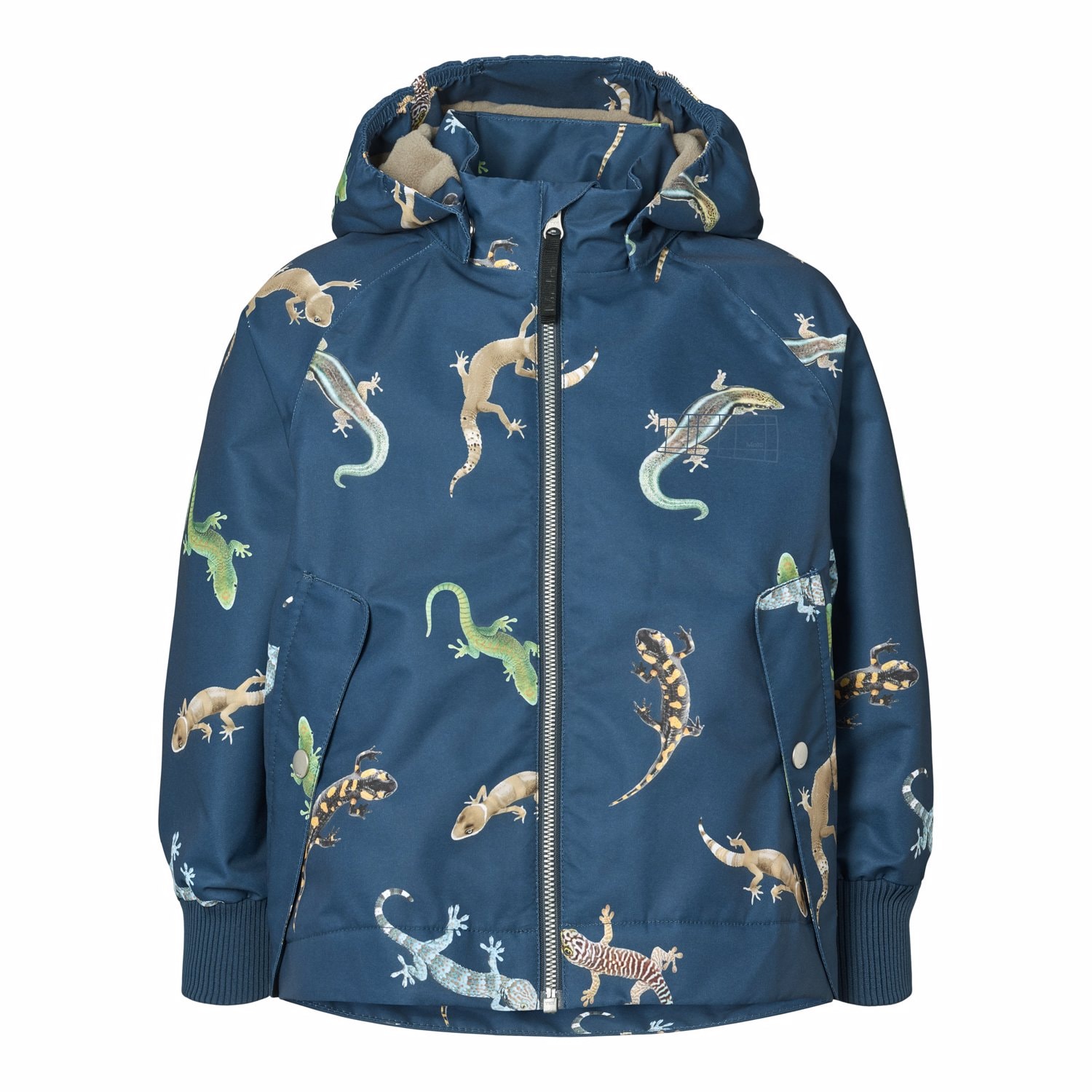 Hoplas Shell Takki Gecko Oceanica 