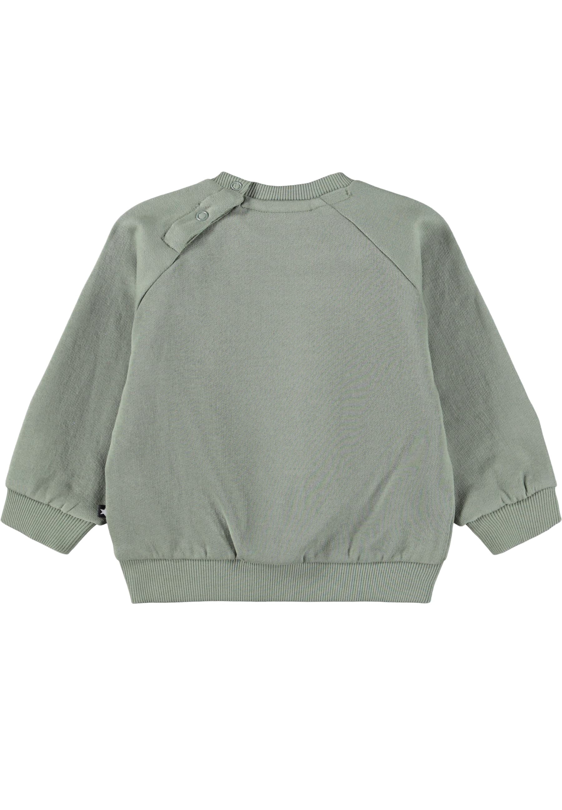 GOTS Disc Sweatshirt Cladonia