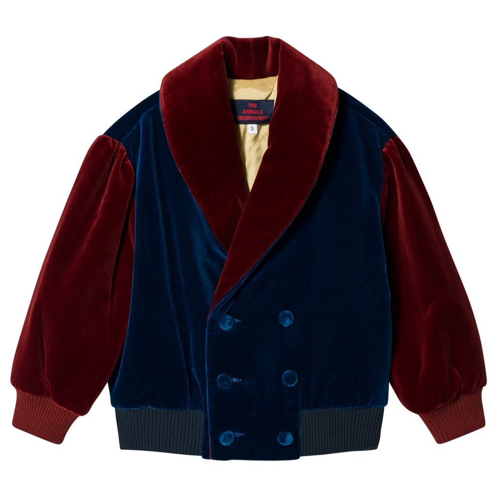 Tiger Jacket Navy Blue Yellow Tao