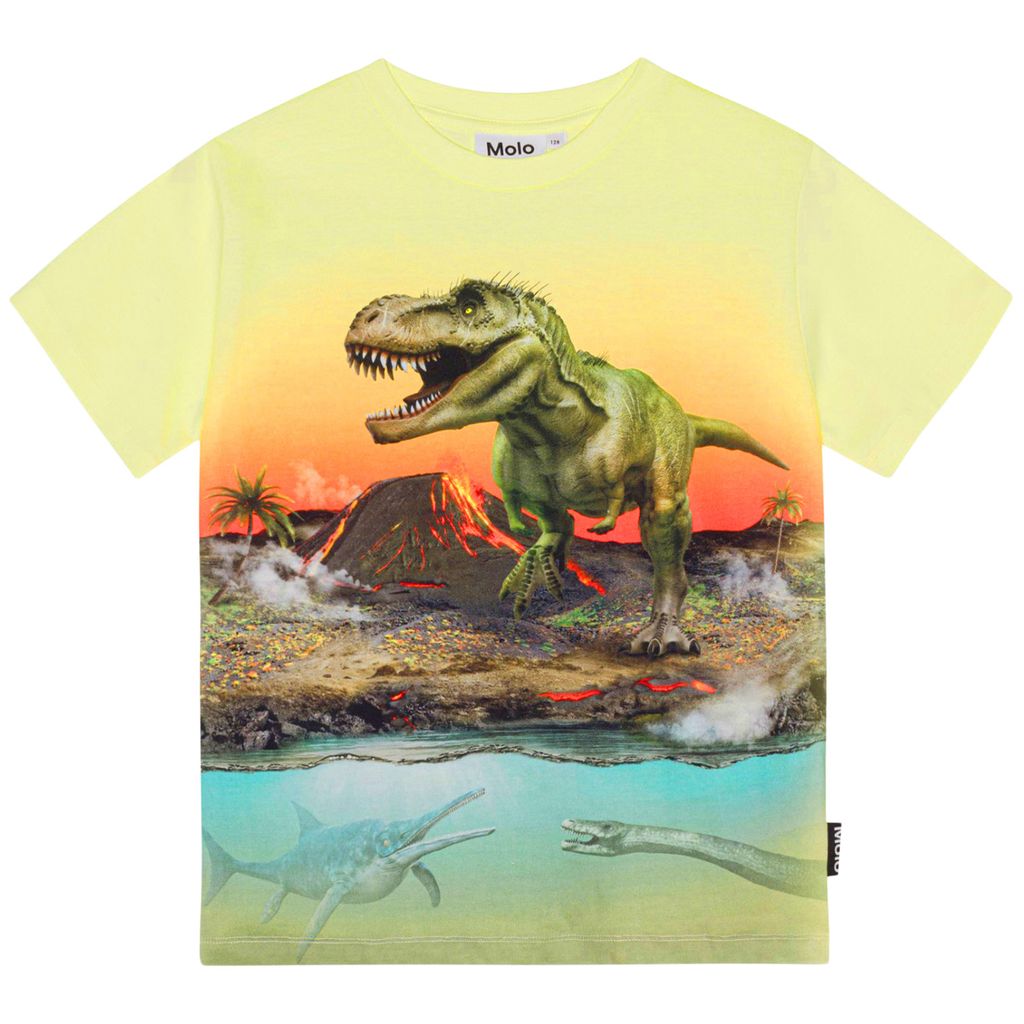 GOTS Riley T-shirt Volcano Dino